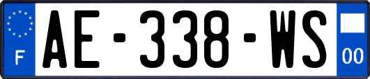 AE-338-WS