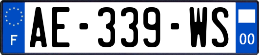 AE-339-WS