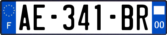 AE-341-BR