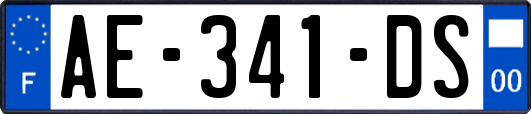 AE-341-DS