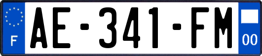 AE-341-FM