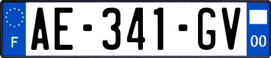AE-341-GV