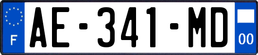 AE-341-MD