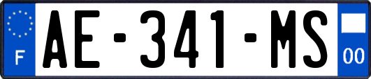 AE-341-MS