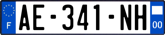 AE-341-NH