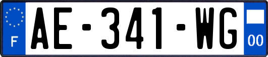 AE-341-WG