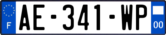 AE-341-WP