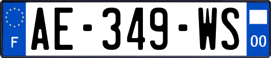 AE-349-WS