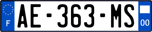 AE-363-MS
