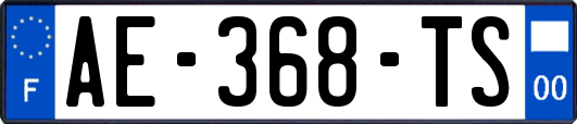 AE-368-TS