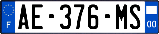 AE-376-MS