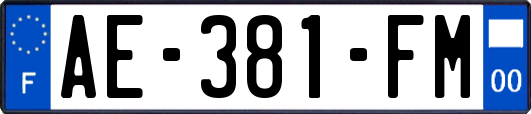 AE-381-FM