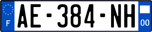 AE-384-NH