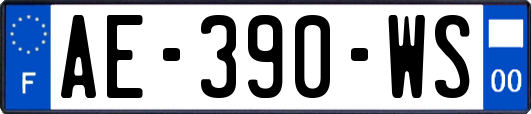 AE-390-WS