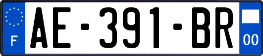 AE-391-BR