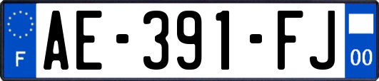 AE-391-FJ