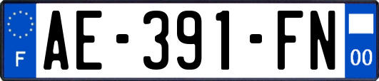 AE-391-FN
