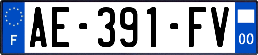 AE-391-FV