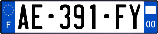 AE-391-FY
