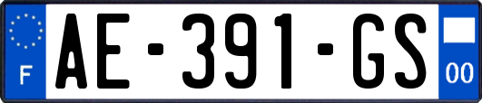 AE-391-GS