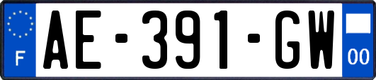 AE-391-GW