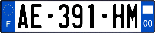 AE-391-HM