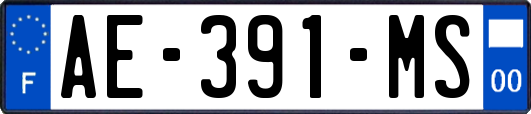 AE-391-MS