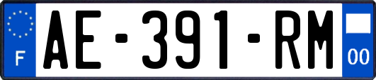 AE-391-RM