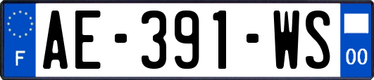 AE-391-WS