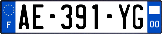 AE-391-YG
