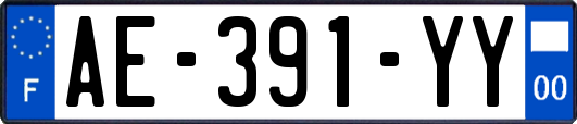 AE-391-YY