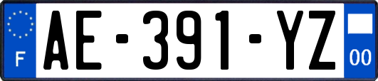 AE-391-YZ