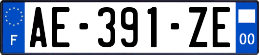 AE-391-ZE