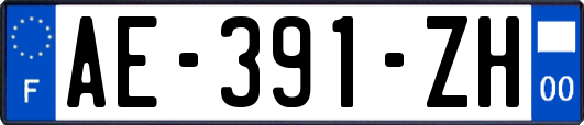 AE-391-ZH