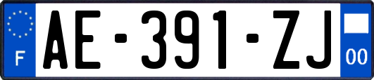 AE-391-ZJ