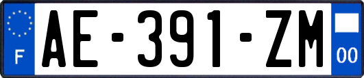 AE-391-ZM