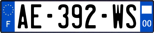 AE-392-WS