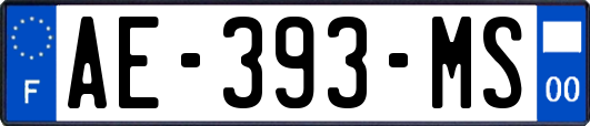 AE-393-MS