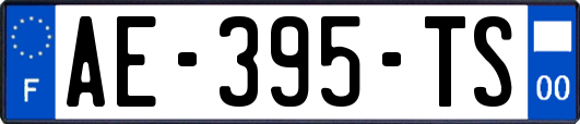 AE-395-TS