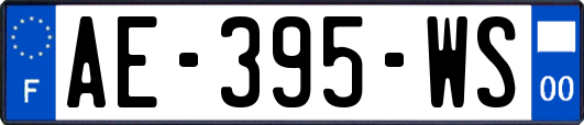 AE-395-WS