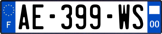 AE-399-WS