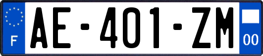 AE-401-ZM