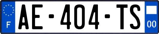 AE-404-TS