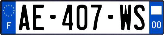 AE-407-WS