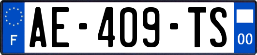 AE-409-TS