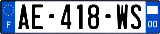 AE-418-WS