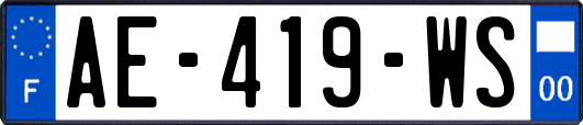 AE-419-WS