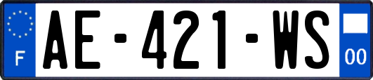 AE-421-WS