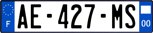 AE-427-MS