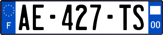 AE-427-TS